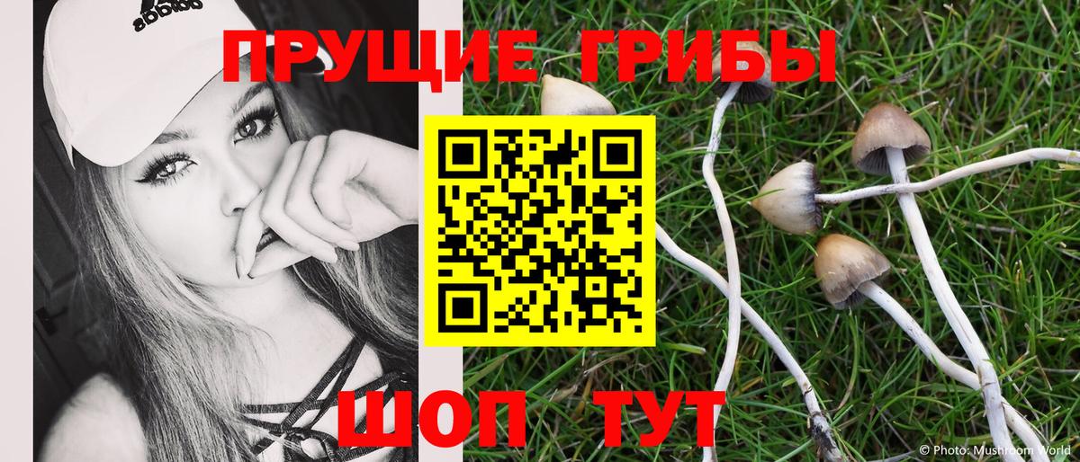 Галлюциногенные грибы Psilocybe Корсаков